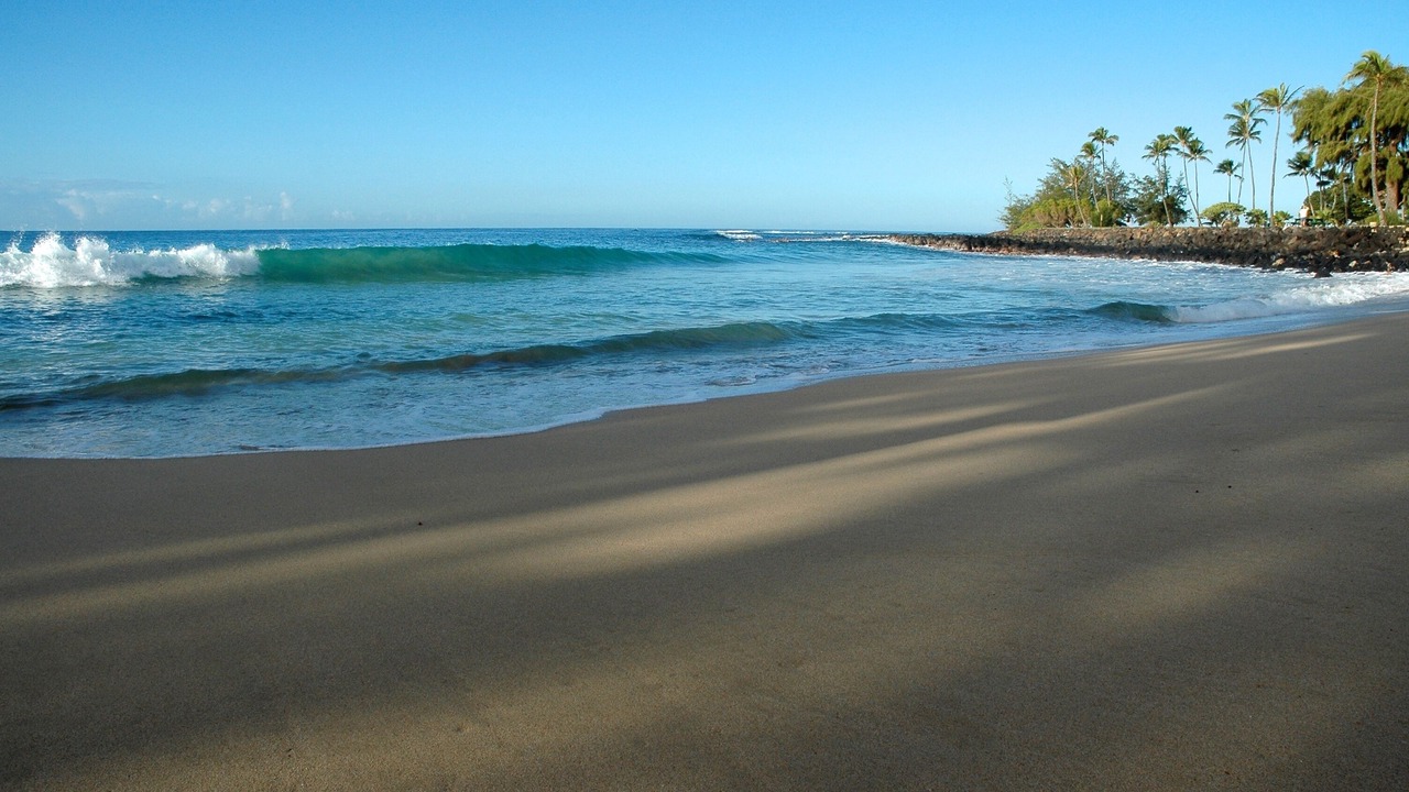 Photo of Others in Poipu