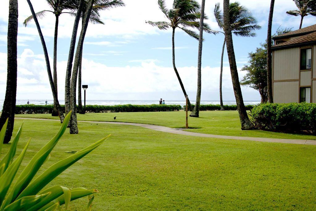 Photo of Outdoor in Kapaa