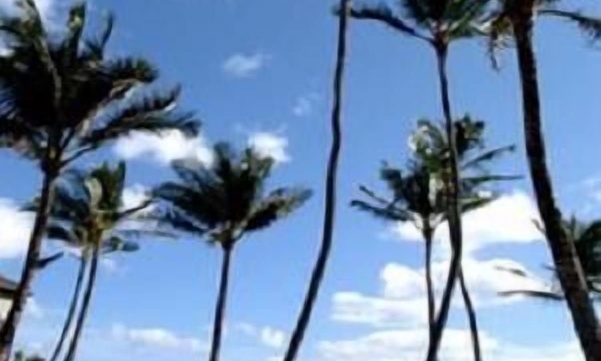 Photo of Others in Kapaa