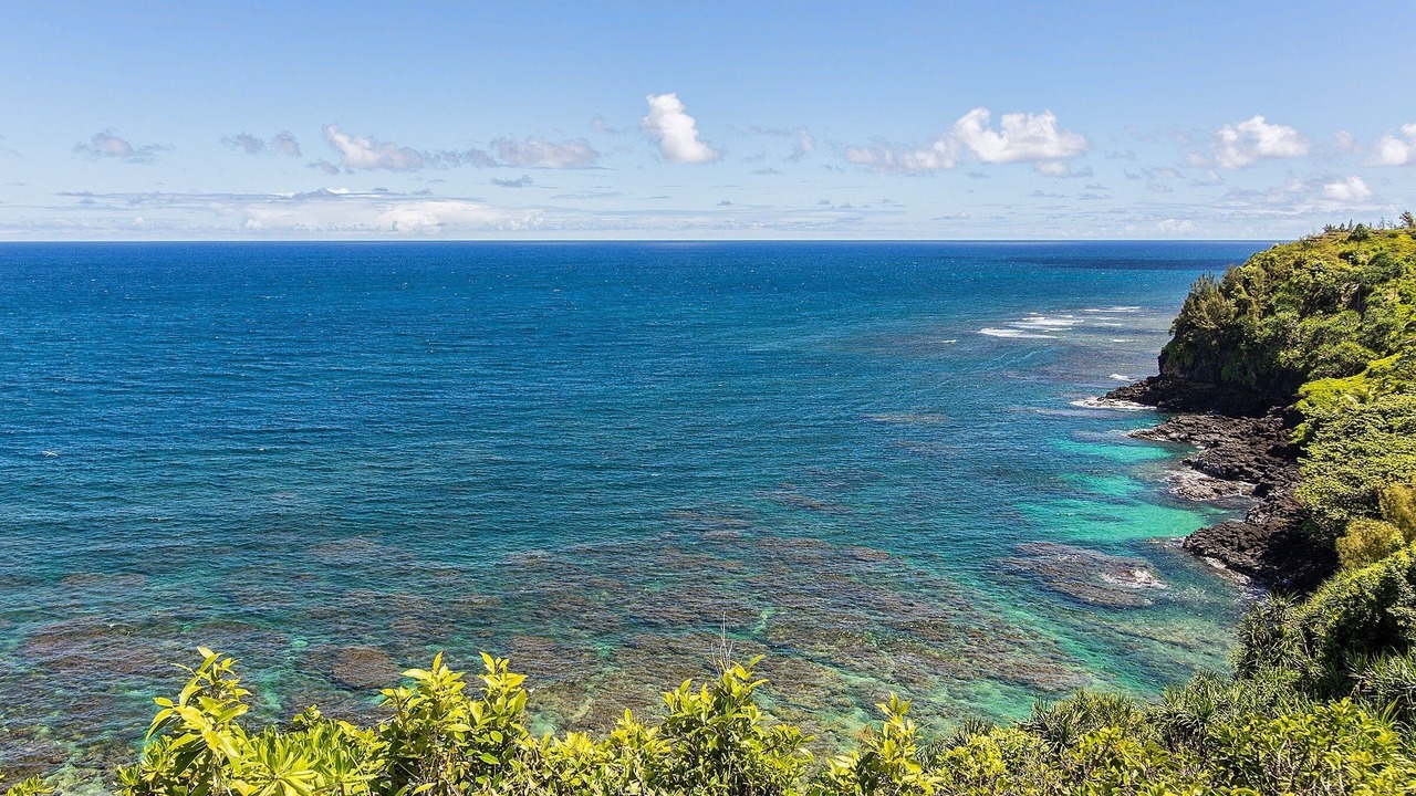 Photo of Others in Princeville