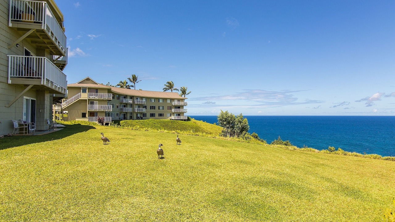 Photo of Others in Princeville