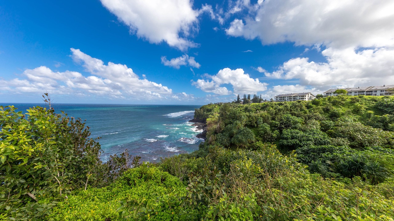 Photo of Others in Princeville