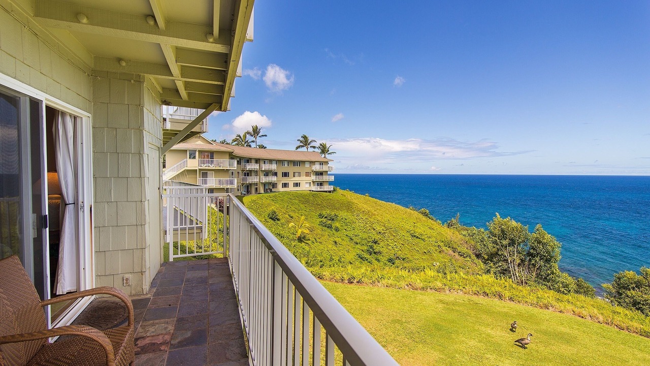 Photo of Others in Princeville