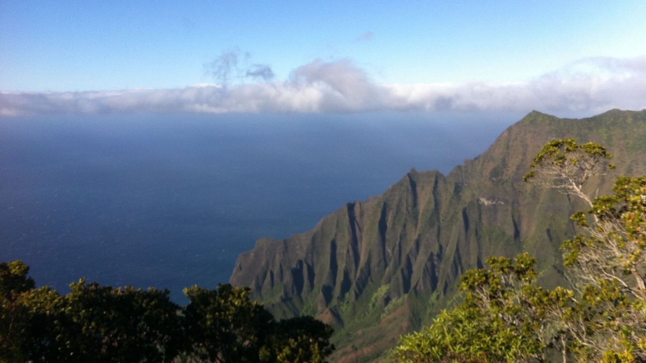 Photo of Others in Princeville