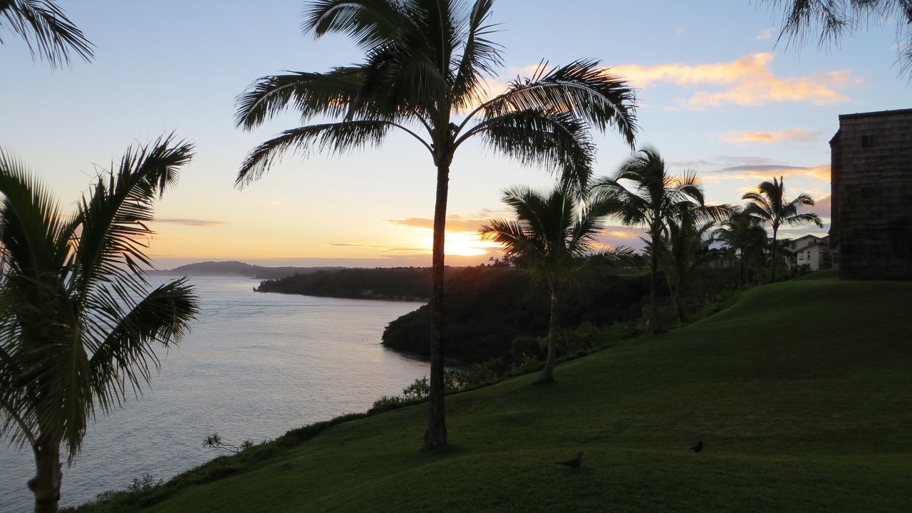 Photo of Others in Princeville