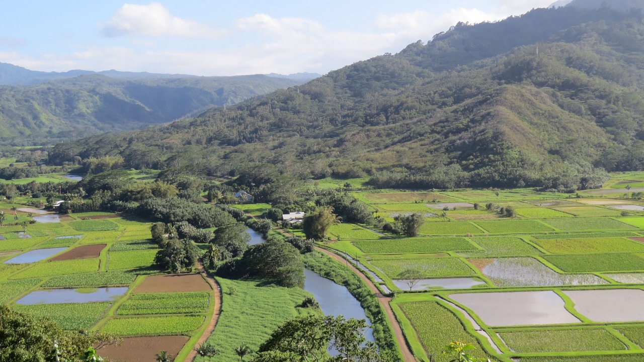 Photo of Others in Princeville