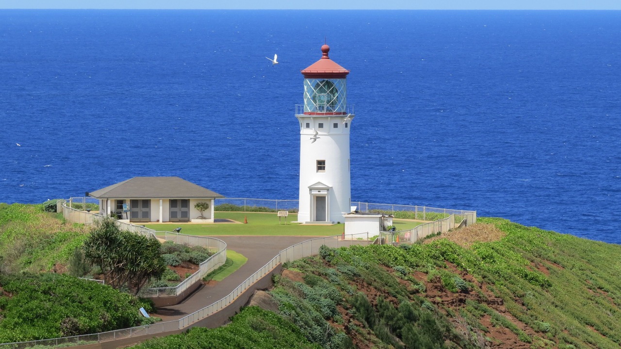 Photo of Others in Princeville