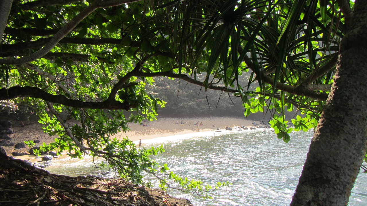 Photo of Others in Princeville