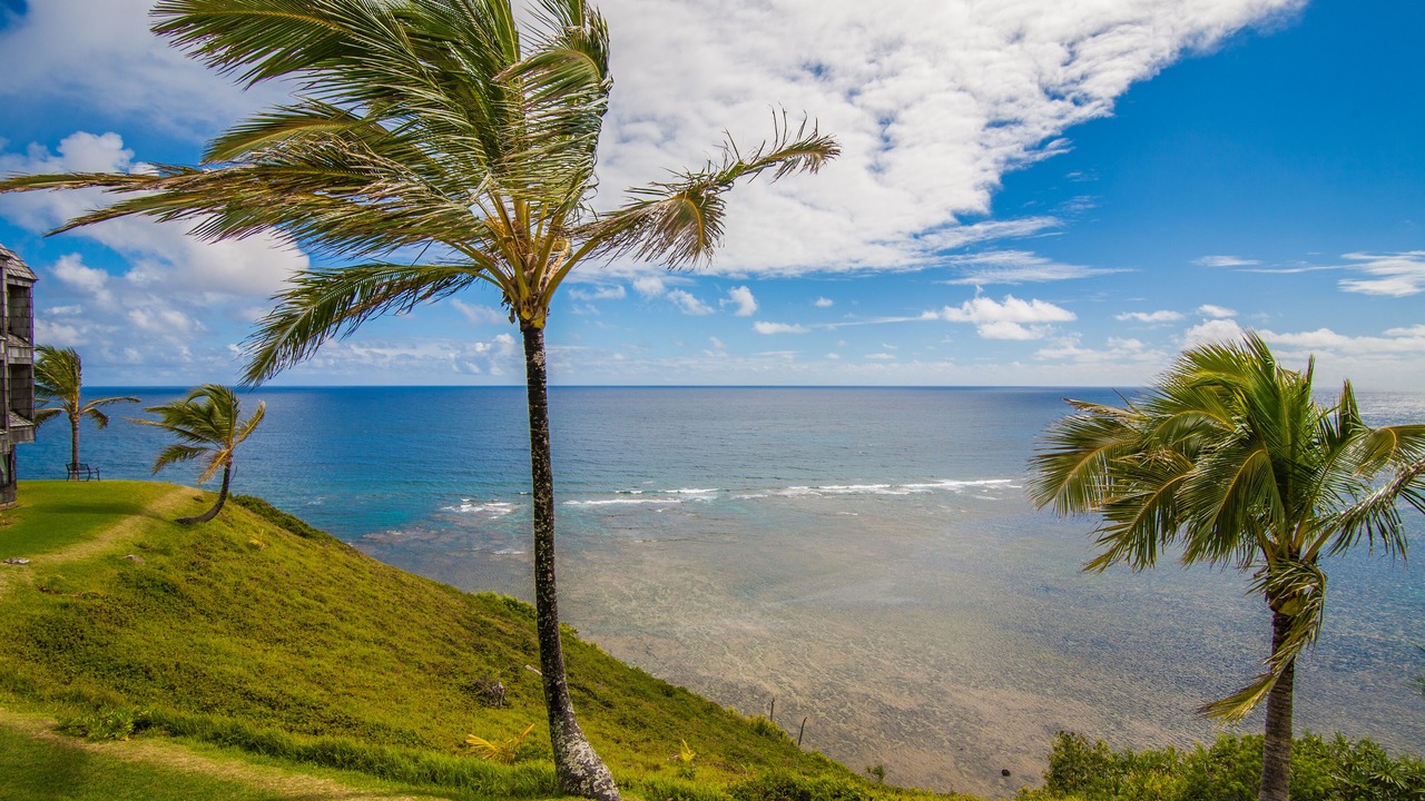 Photo of Others in Princeville