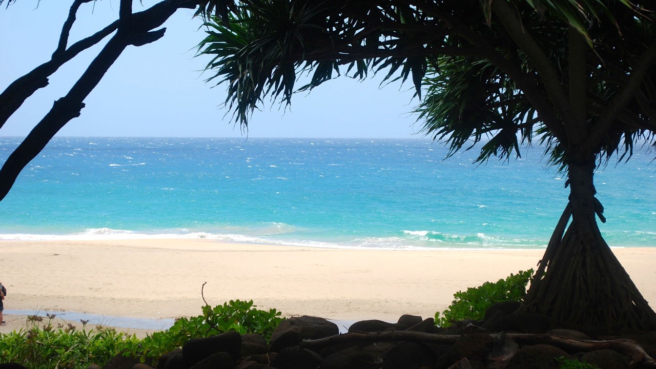 Photo of Outdoor in Princeville