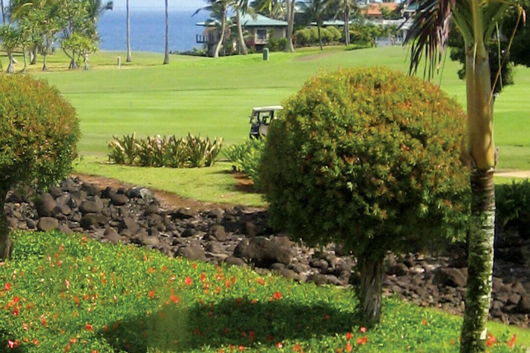 Photo of Others in Princeville