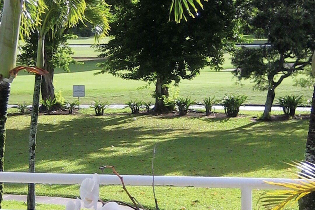 Photo of Others in Princeville