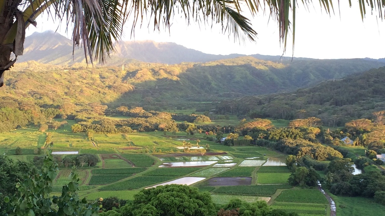 Photo of Others in Princeville