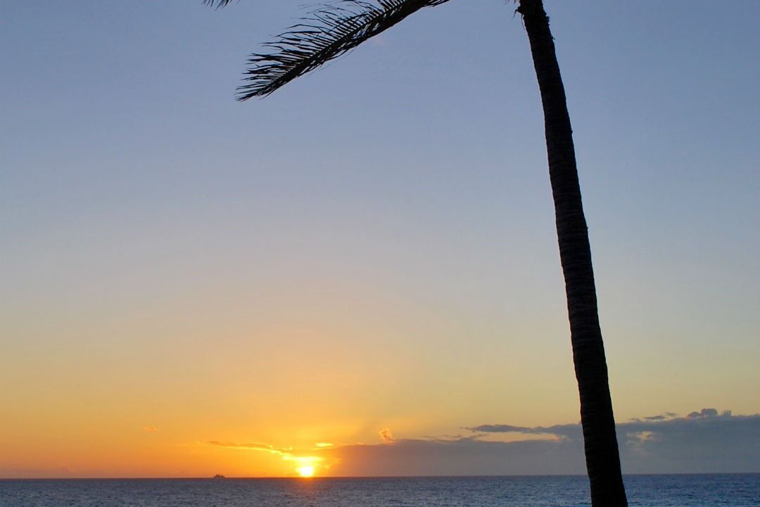 Photo of Others in Princeville
