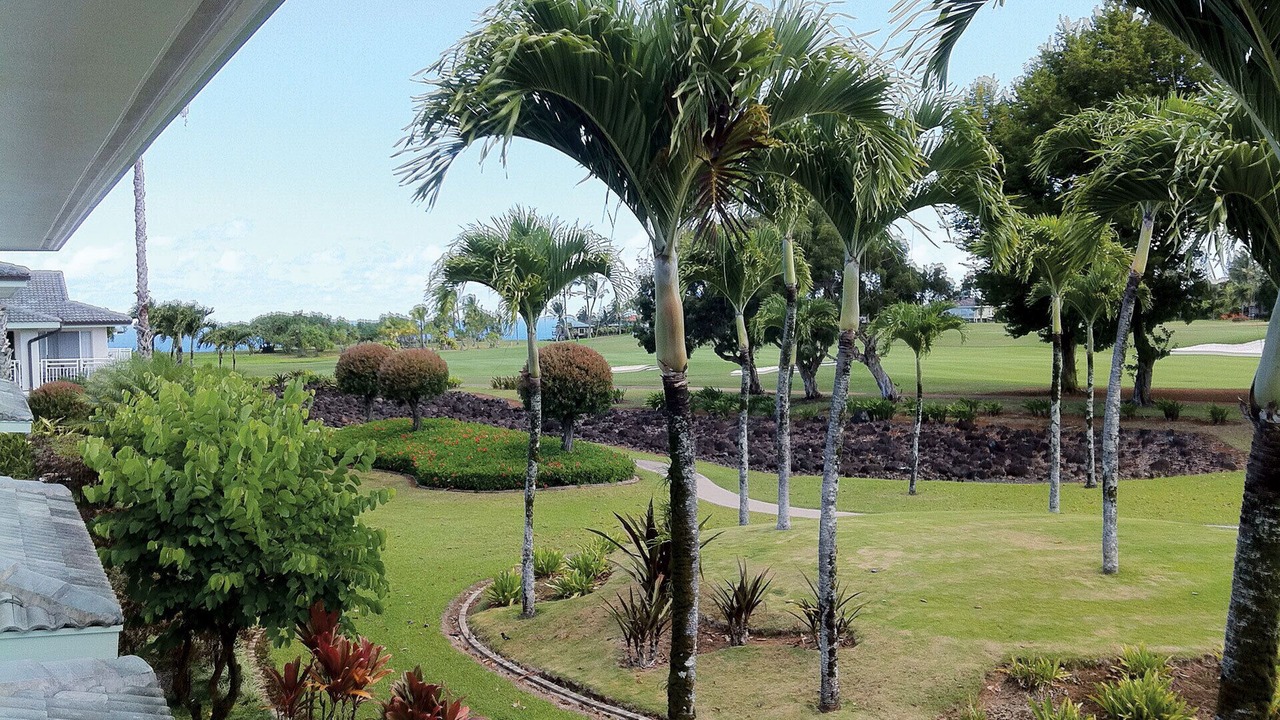 Photo of Others in Princeville
