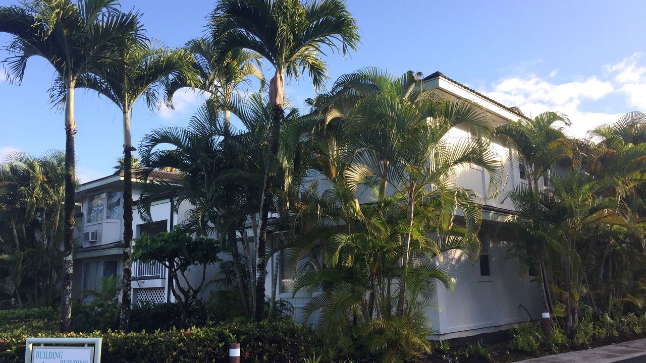 Photo of Others in Princeville