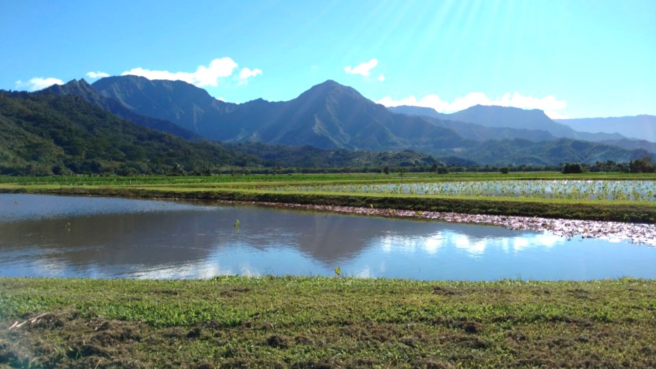 Photo of Others in Hanalei
