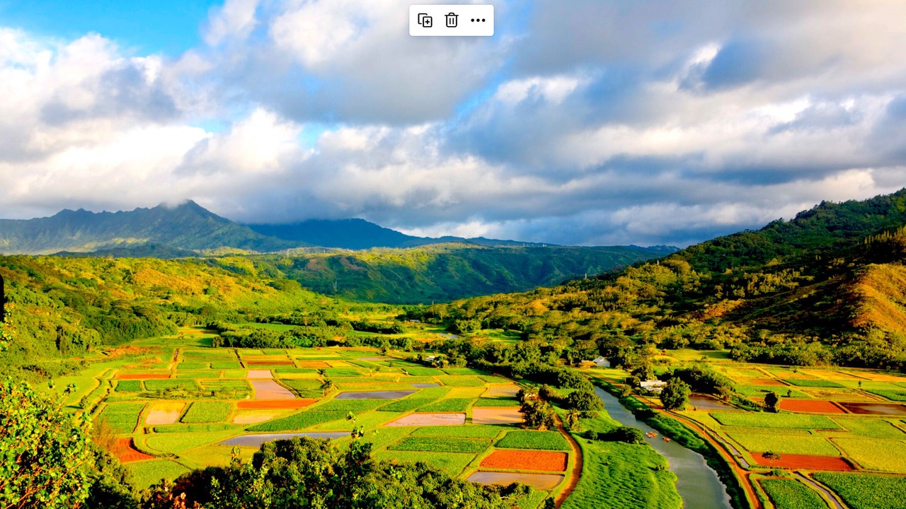 Photo of Others in Hanalei