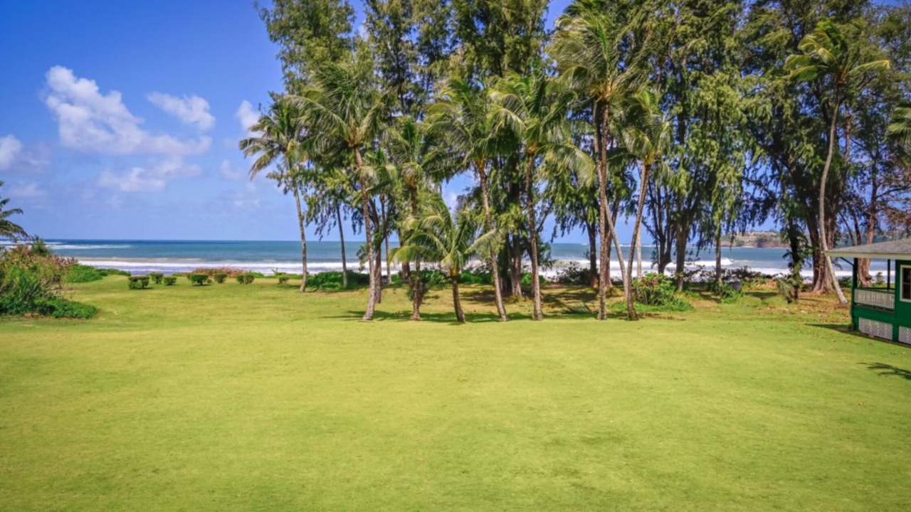 Photo of Others in Hanalei