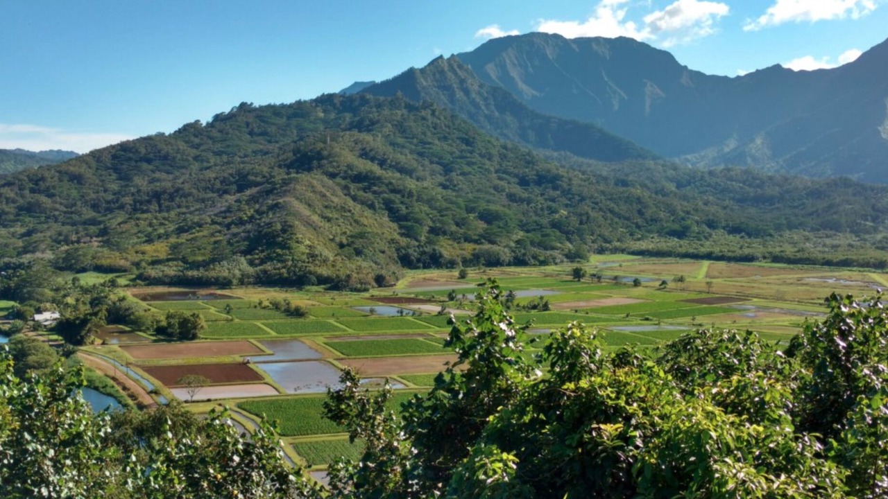 Photo of Others in Hanalei