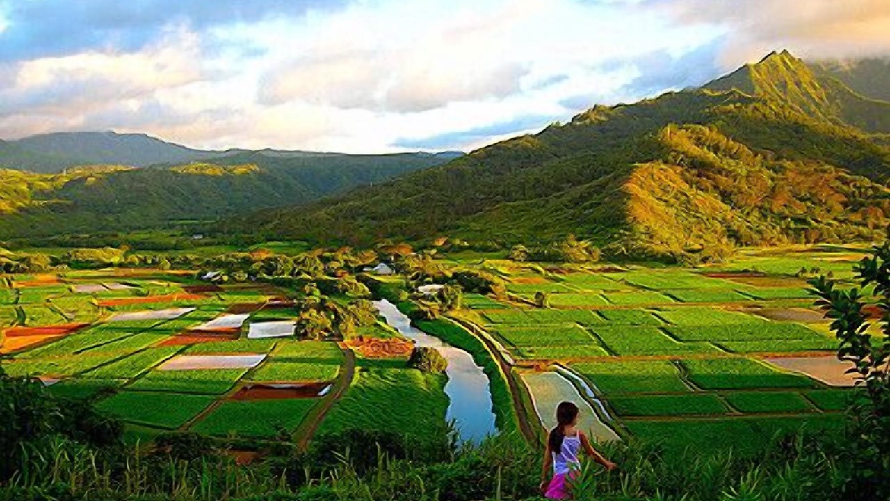 Photo of Others in Princeville