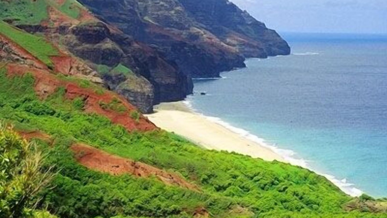Photo of Others in Princeville