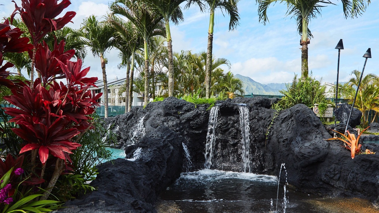 Photo of Outdoor in Princeville