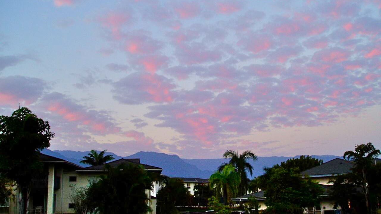 Photo of Others in Princeville