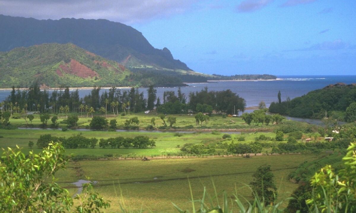 Photo of Others in Princeville