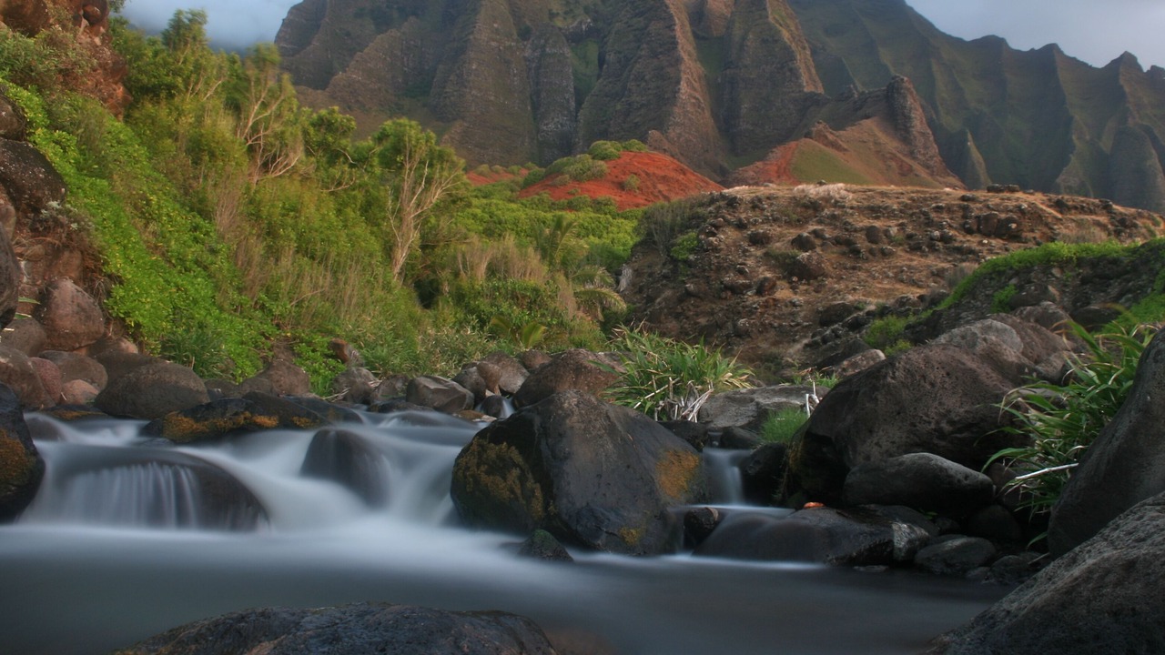 Photo of Others in Princeville