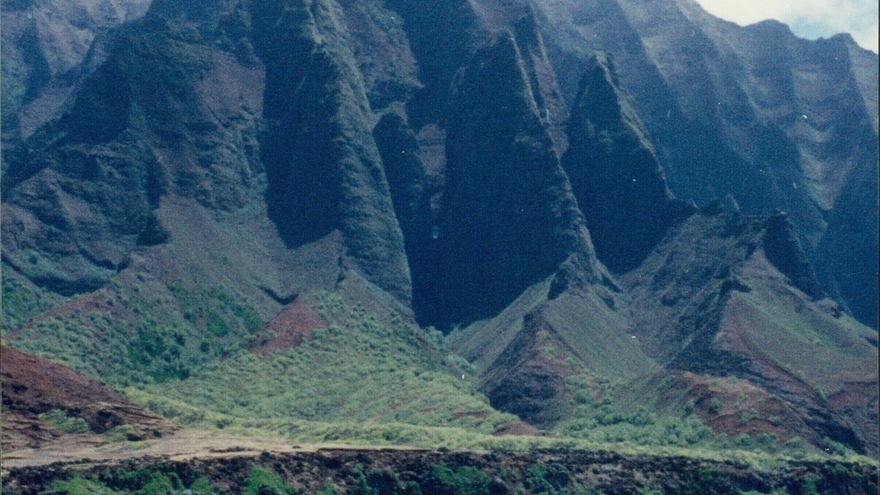 Photo of Others in Princeville