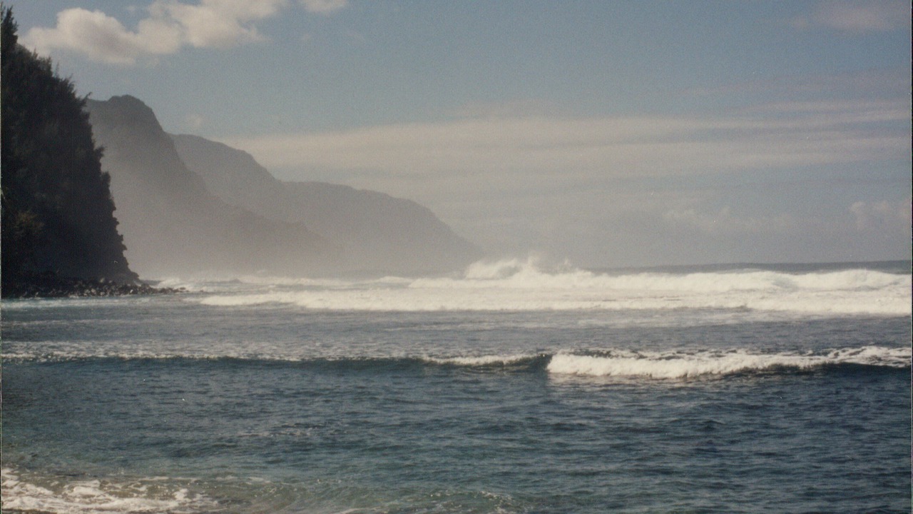 Photo of Others in Princeville