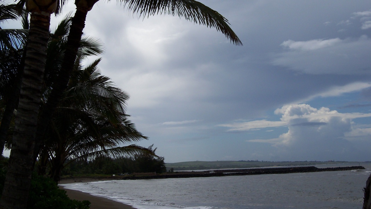 Photo of Others in Kekaha