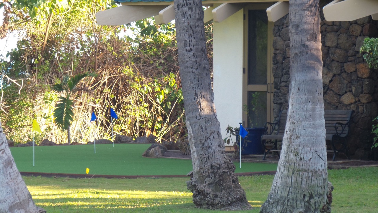 Photo of Others in Kekaha