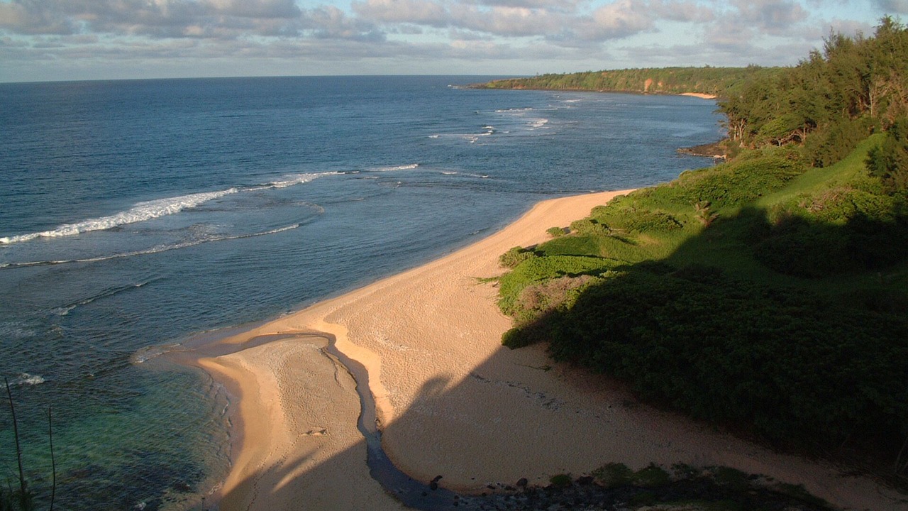 Photo of Others in Kilauea