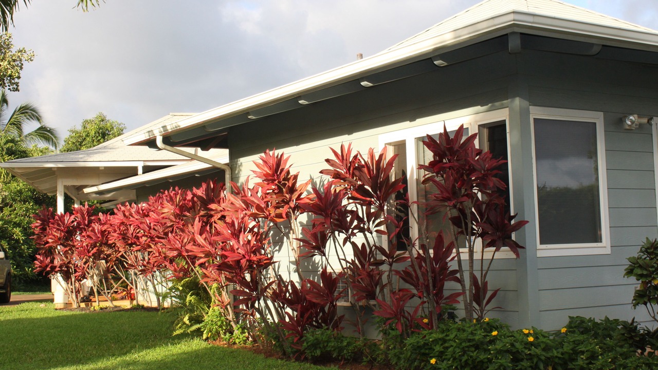 Photo of Others in Kilauea