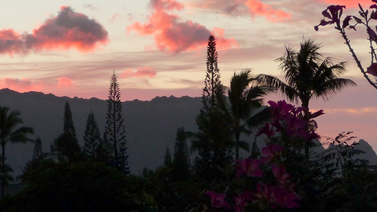 Photo of Others in Princeville