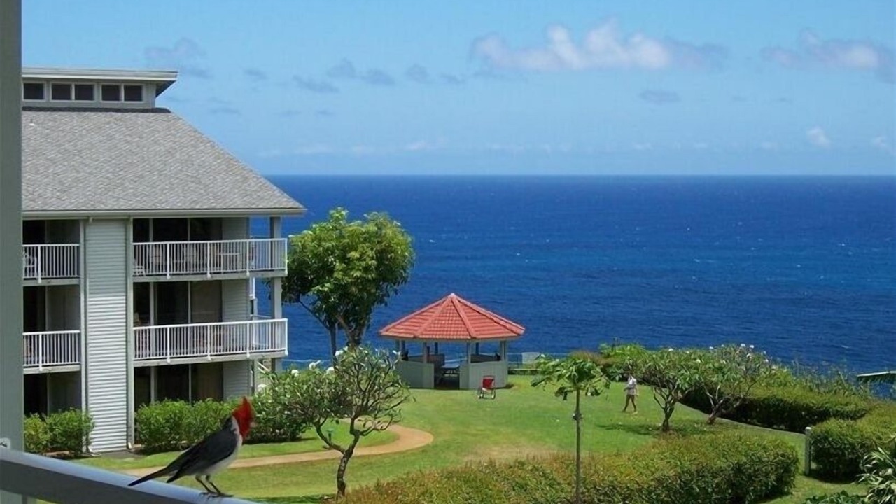 Photo of Others in Princeville