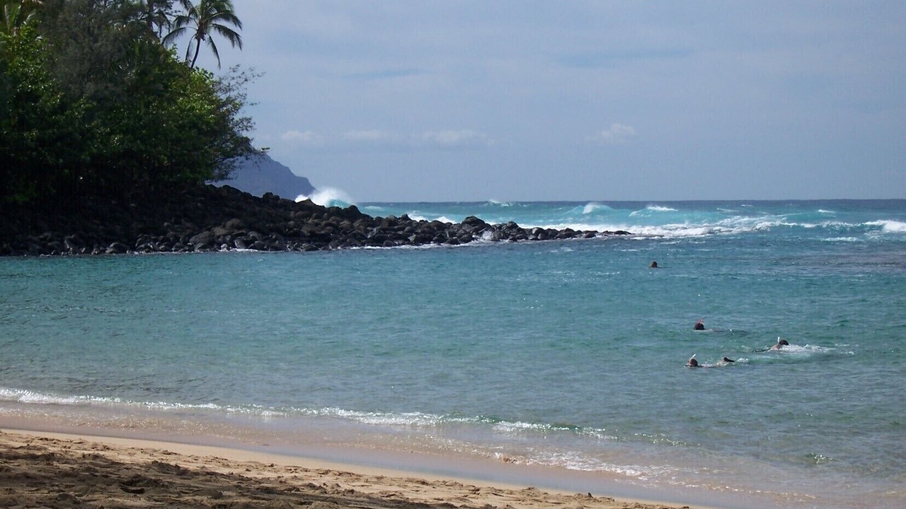 Photo of Others in Princeville