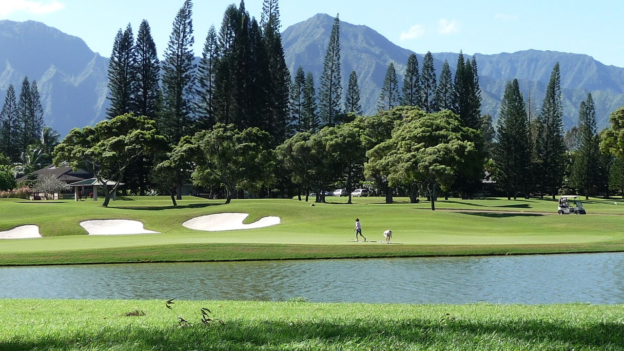 Photo of Others in Princeville