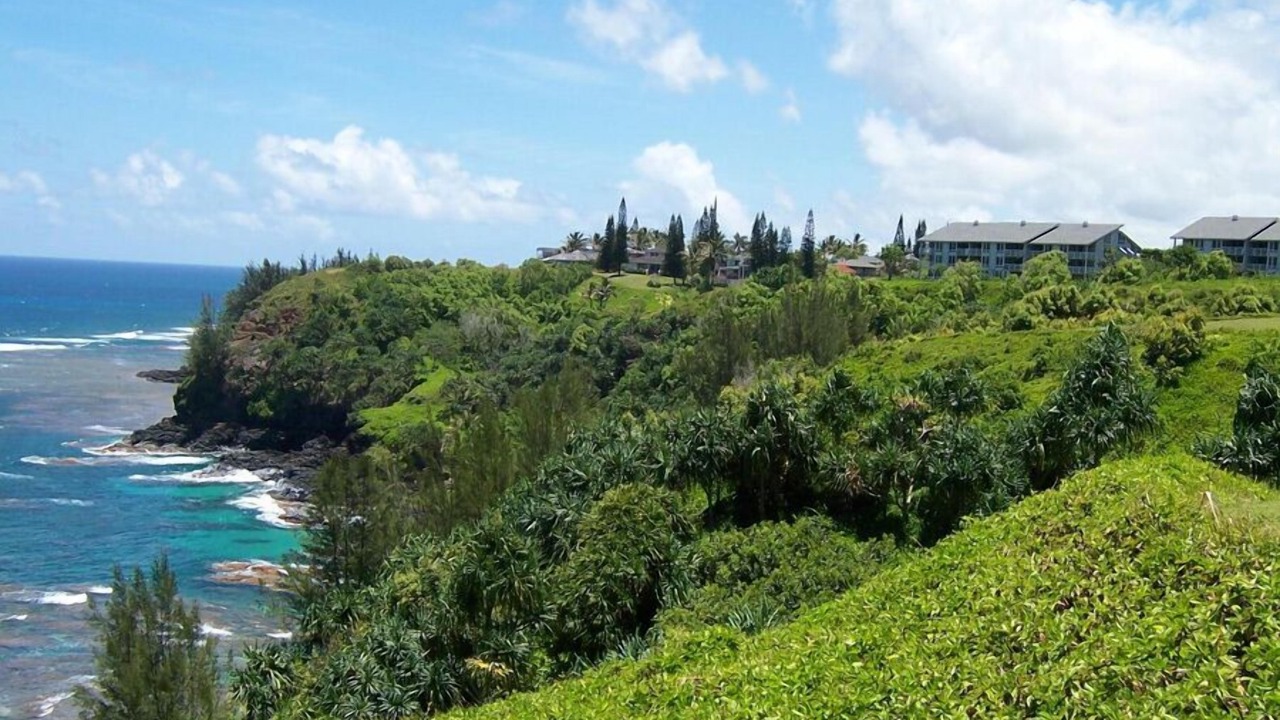 Photo of Others in Princeville