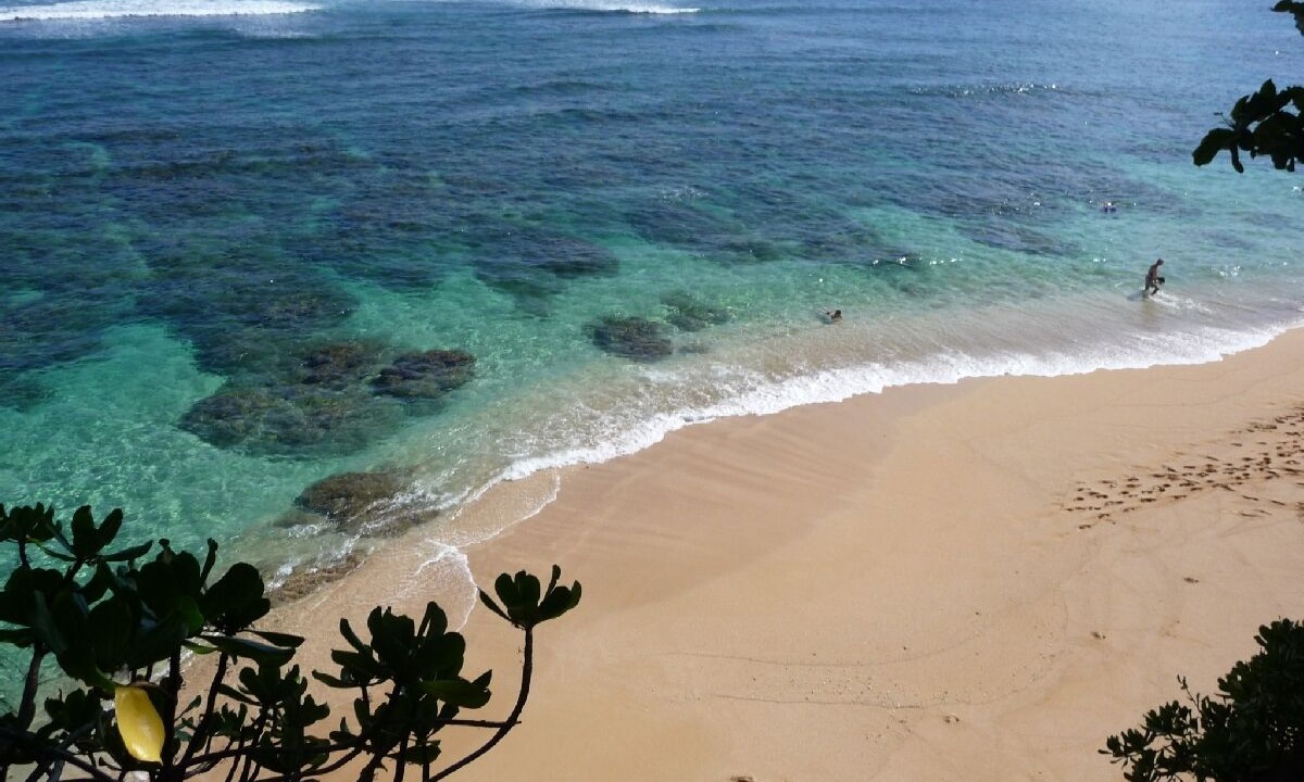 Photo of Others in Princeville