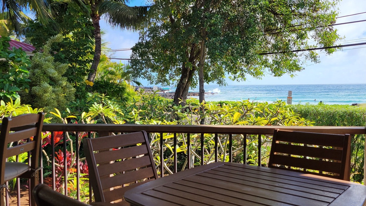 Photo of Others in Poipu
