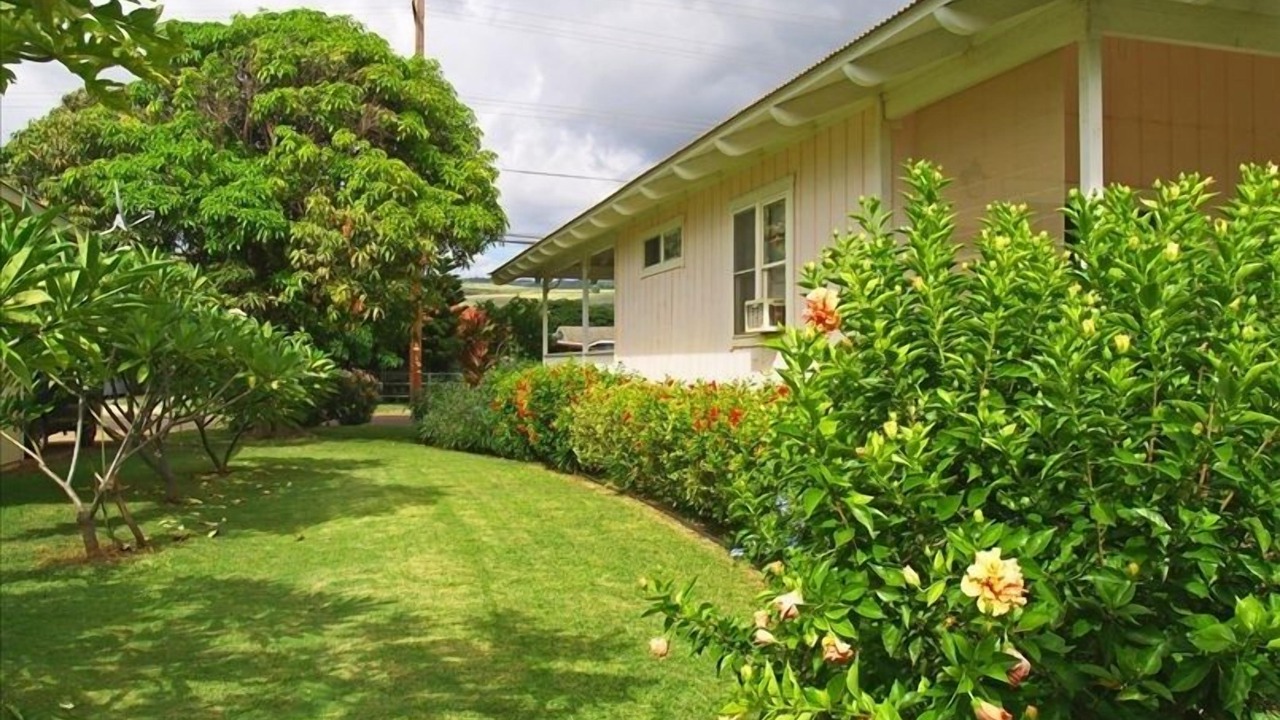 Photo of Others in Kekaha