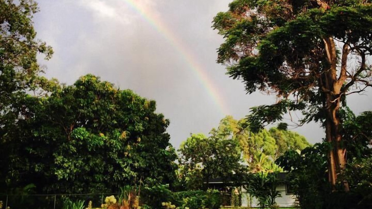 Photo of Others in Wailua Homesteads