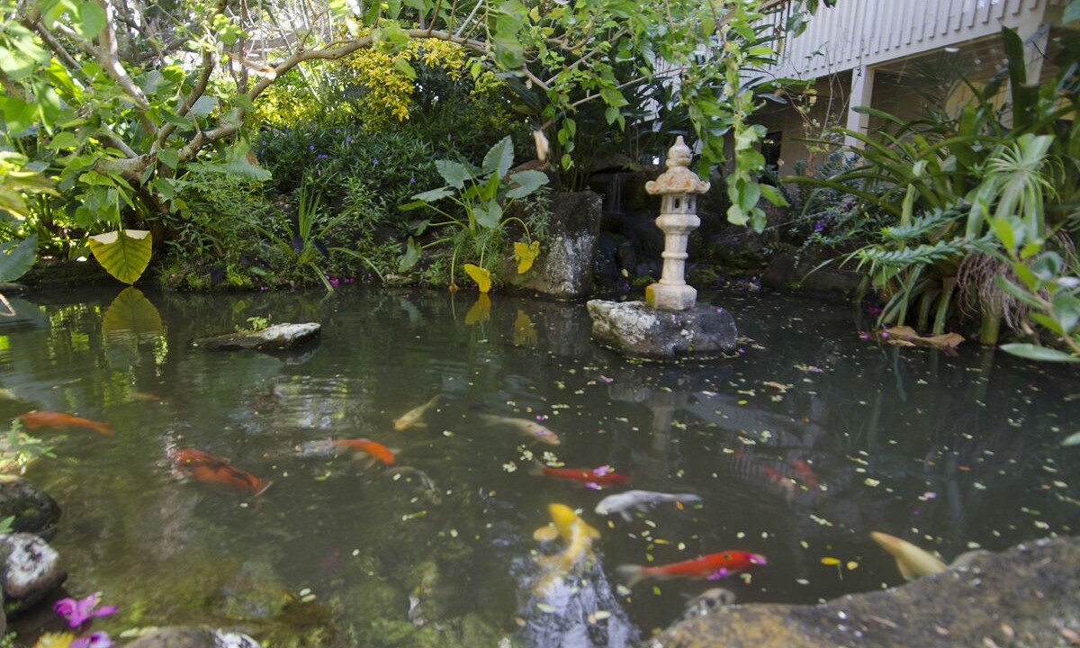 Photo of Others in Poipu