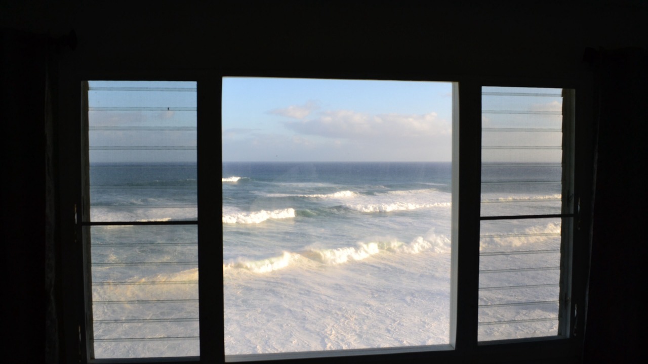 Photo of Others in Princeville