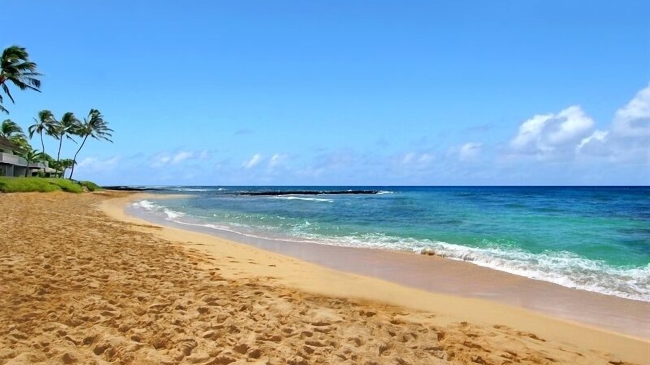 Photo of Others in Poipu