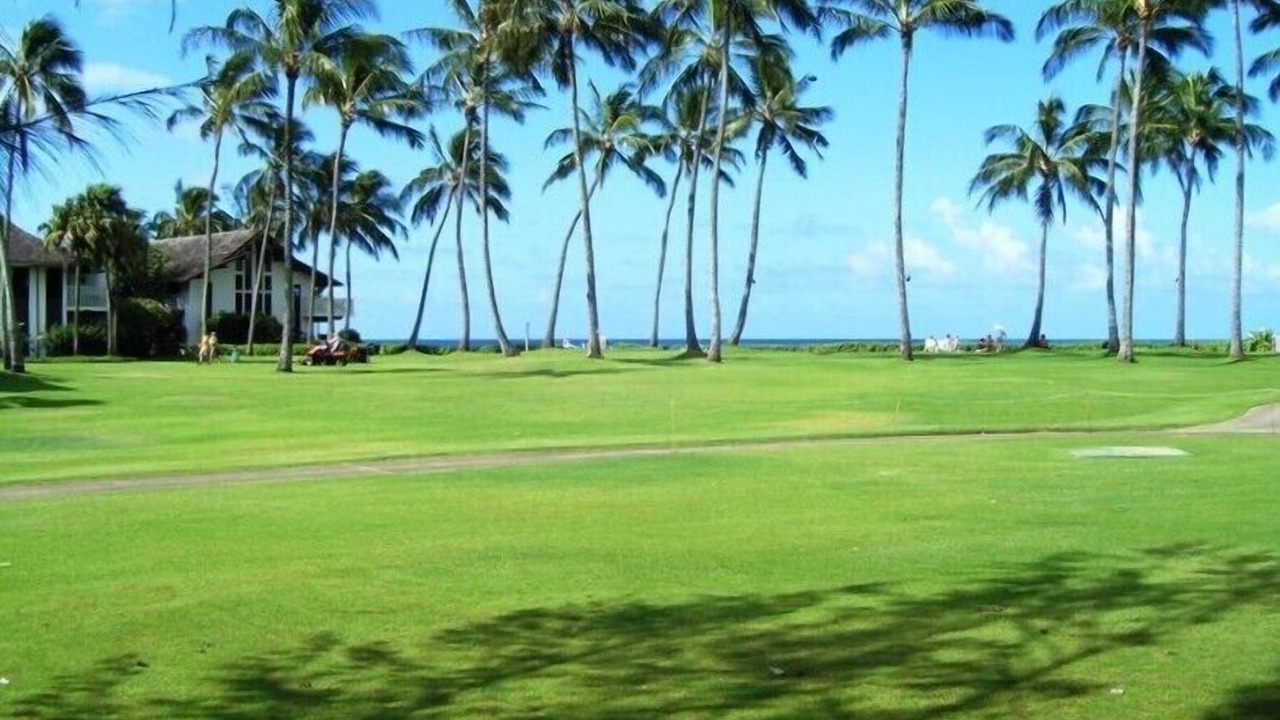 Photo of Others in Poipu