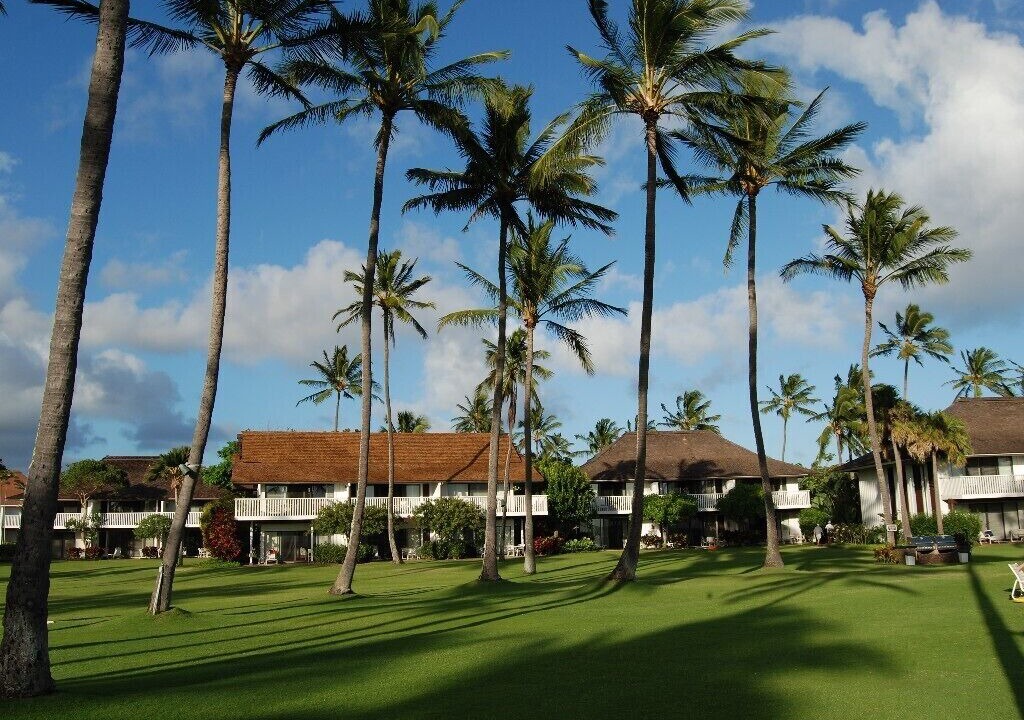 Photo of Others in Poipu